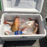 2018.09.06 水曜日 週末修行釣り部 ＆ そのあとテニス 鹿児島テニスサークル? 週末修行