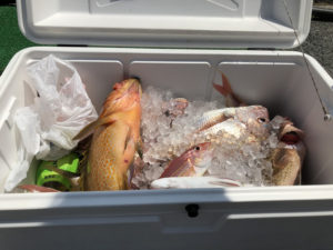 2018.09.06 水曜日 週末修行釣り部 ＆ そのあとテニス 鹿児島テニスサークル? 週末修行